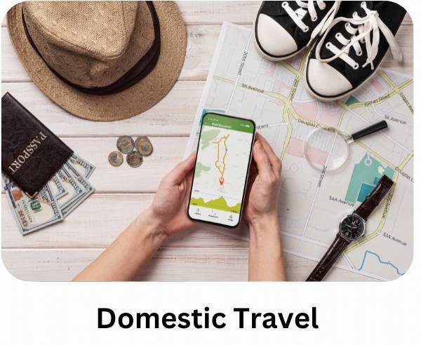 Domestic Travel