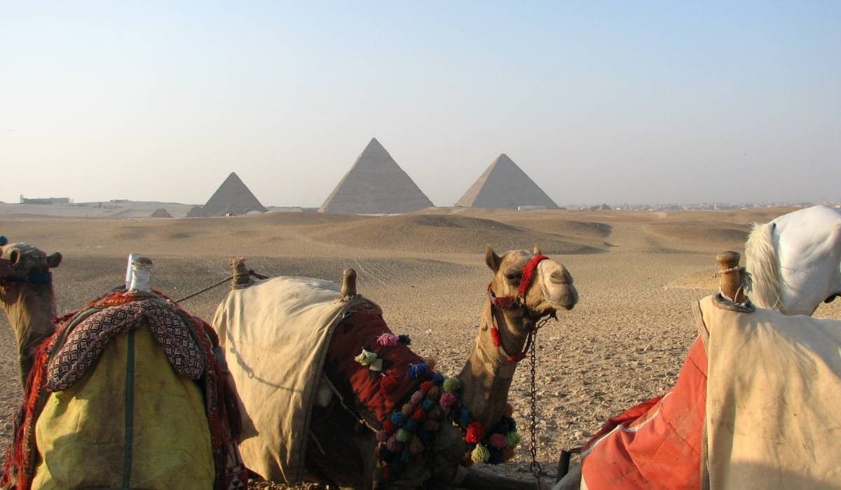 International Tour Management Company (5)